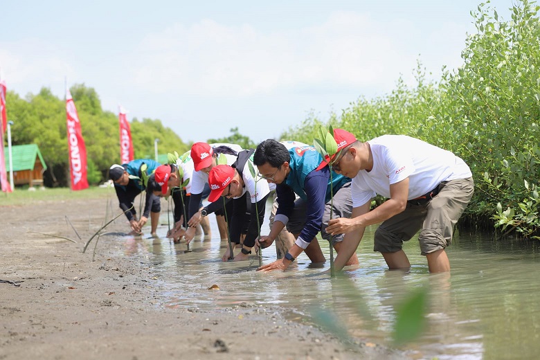 AHM Wujudkan Kepedulian Lingkungan Lewat Penanaman Mangrove (2)