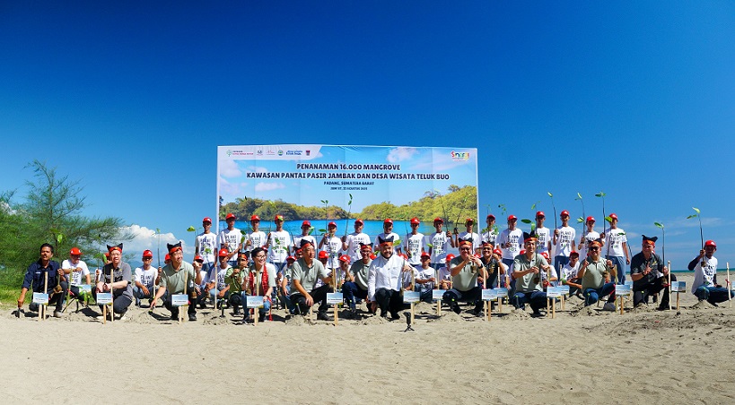 Yayasan AHM Tanam 16.000 Mangrove dan Lepas Tukik di Sumatera Barat (2)