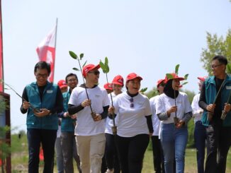 AHM Wujudkan Kepedulian Lingkungan Lewat Penanaman Mangrove