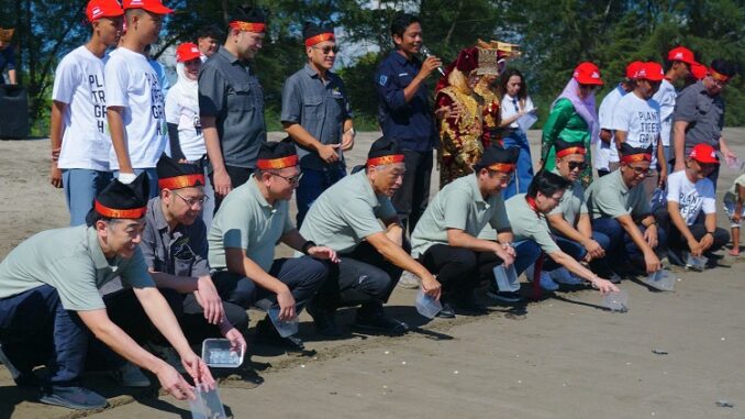 Yayasan AHM Tanam 16.000 Mangrove dan Lepas Tukik di Sumatera Barat (1)