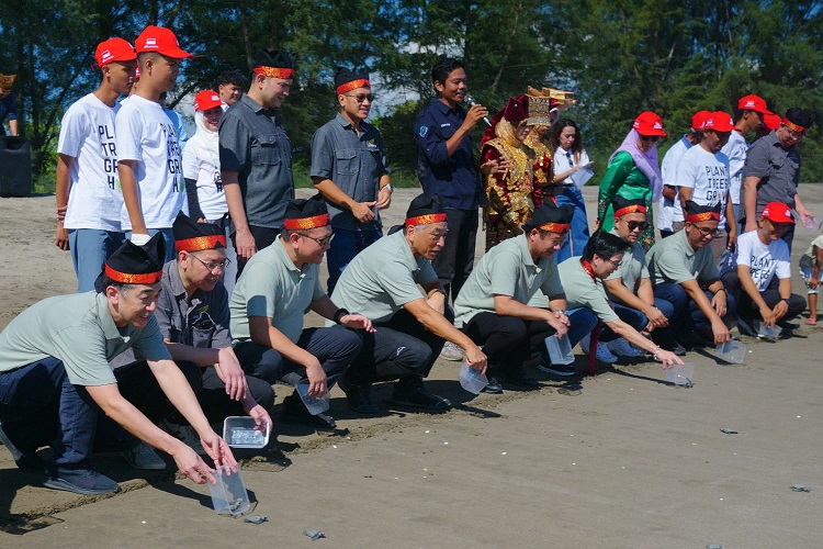 Yayasan AHM Tanam 16.000 Mangrove dan Lepas Tukik di Sumatera Barat (1)